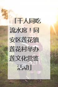 千人同吃流水席！同安区莲花镇莲花村举办莲文化赏鉴活动
